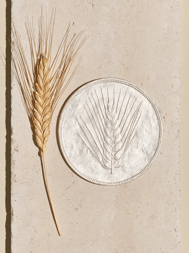 An imagined silver barley relief beside real grain on travertine.