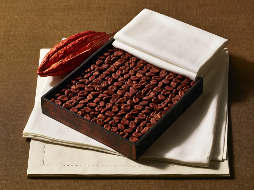 Cacao, folded cloth and a red pod become a tactile study of exchange.