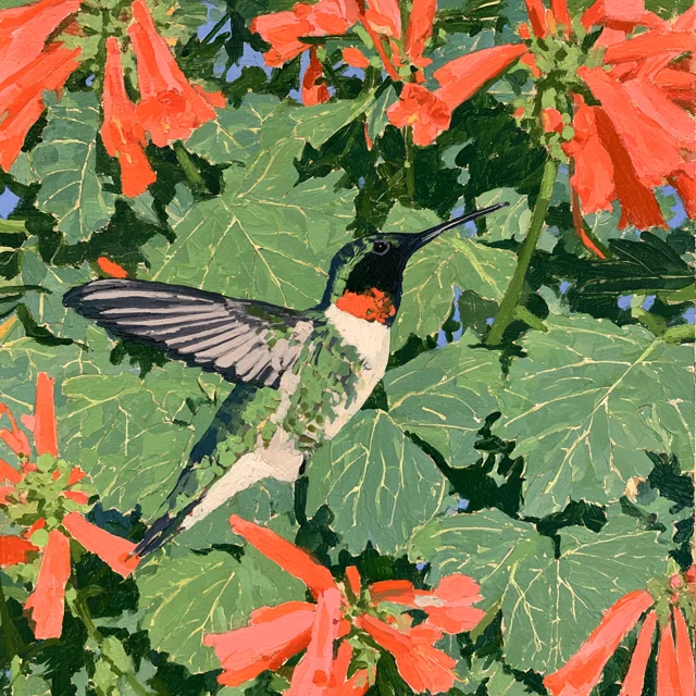 A small hummingbird spreads its wings among dense green leaves and coral-orange blossoms.