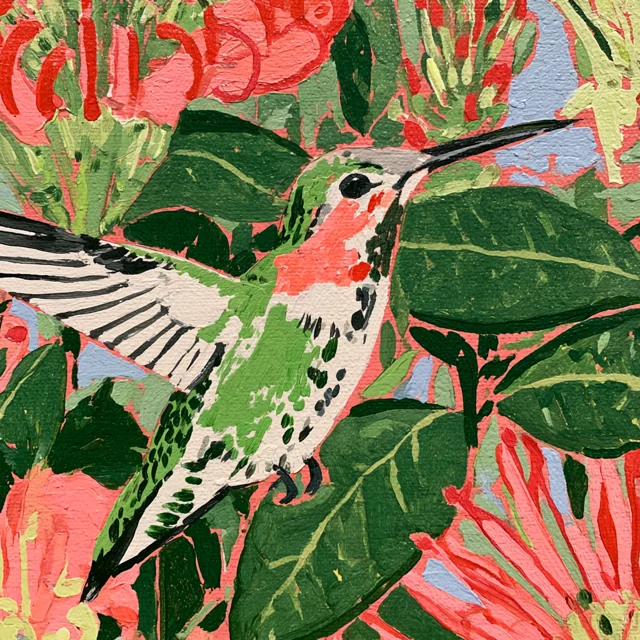 A pale hummingbird with a pink throat and dark-tipped wings hovers against large green leaves and pink flowers.