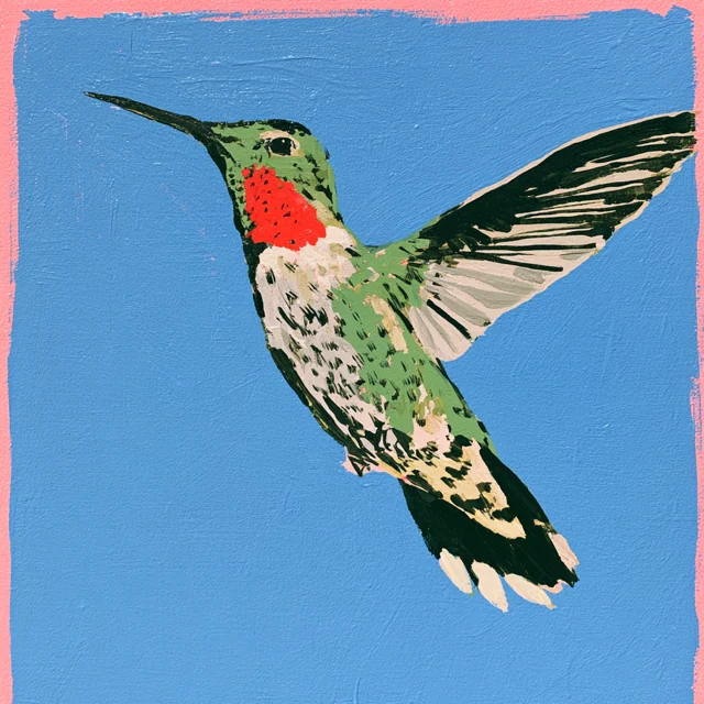 A speckled green-and-white hummingbird with a red throat holds its wings open against blue, framed by a coral border.
