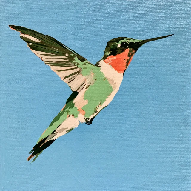 A cream and green hummingbird with a small red throat glides across a blue sky with one wing raised.