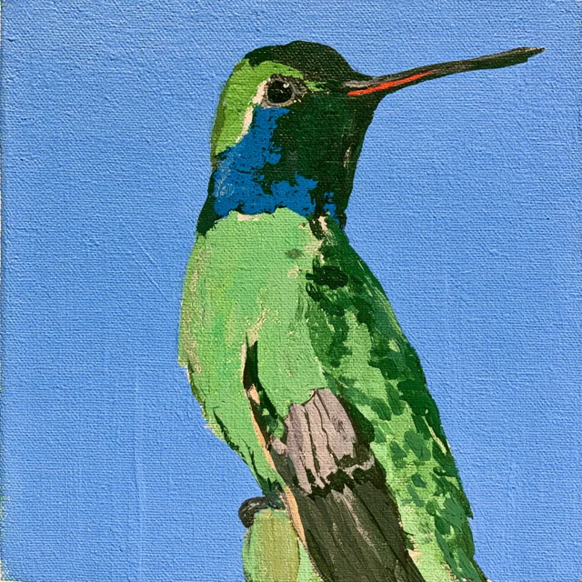 A perched green hummingbird with a deep blue throat and long slender beak is shown close up against blue.