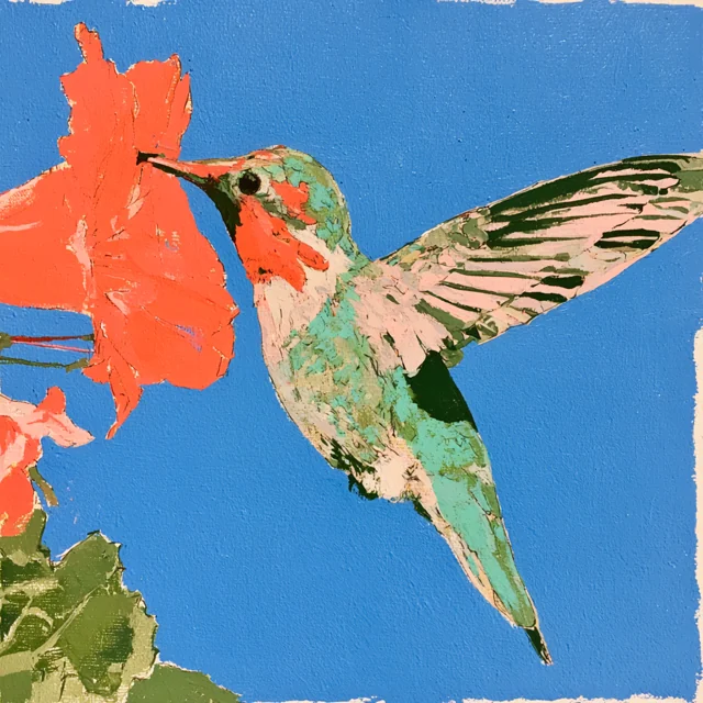 A pink-throated hummingbird reaches toward a large coral-orange flower against bright blue sky.