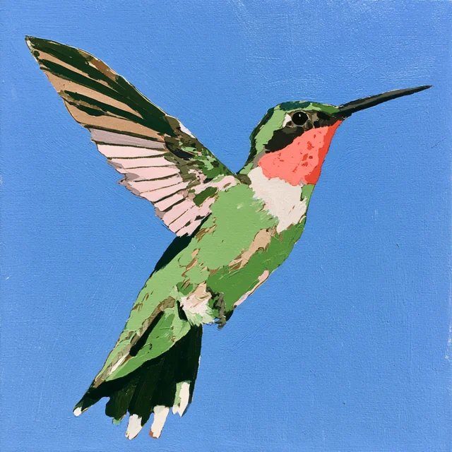 A green hummingbird with a pink throat, white belly and outstretched wings floats against blue.