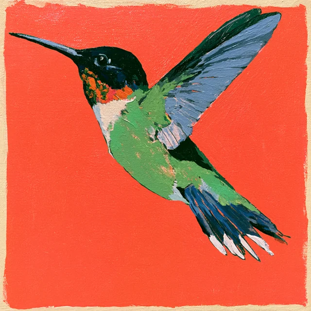 A green hummingbird with a dark head and blue-green wings floats on a vivid coral-red background.