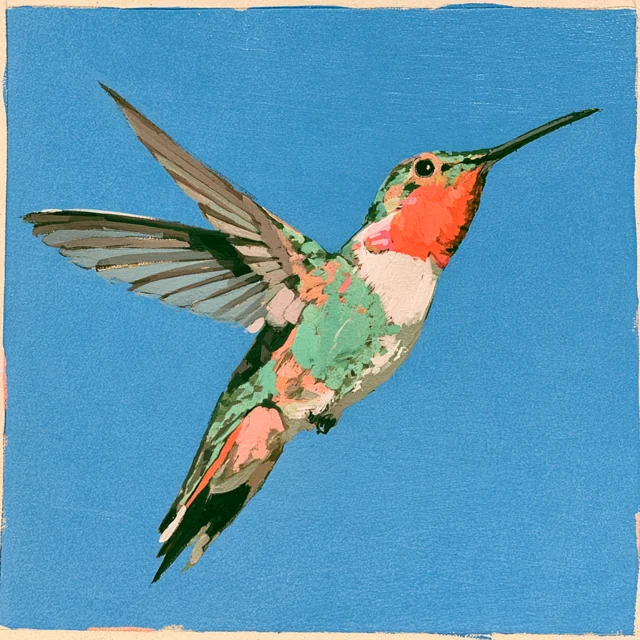 A small red-throated hummingbird raises its beak, spreads its wings and points its tail downward against blue.
