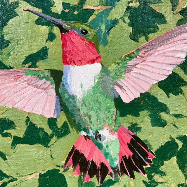 A bright pink-throated hummingbird spreads pale pink wings amid a dense pattern of green leaves.