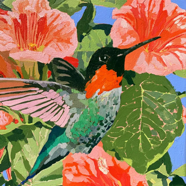A dark-headed green hummingbird with a red-orange throat flies close to large pink and coral blossoms.