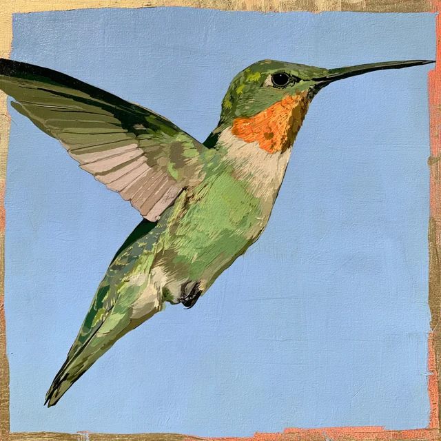 A pale green hummingbird with a golden-orange throat and one broad raised wing hovers against pale blue.