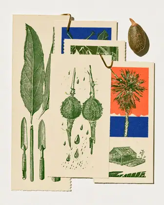 Seed Exchange Folio — speculative AI-generated Pacific Common Futures artwork, variation 1 of 4