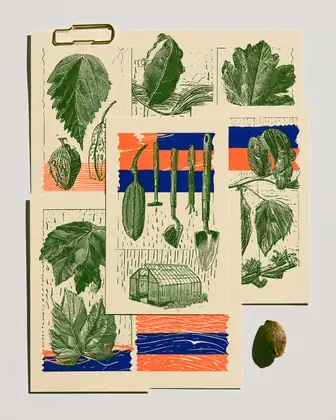 Seed Exchange Folio — speculative AI-generated Pacific Common Futures artwork, variation 3 of 4