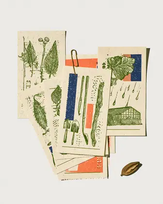 Seed Exchange Folio — speculative AI-generated Pacific Common Futures artwork, variation 4 of 4